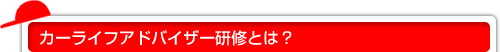 カーライフアドバイザー研修とは？